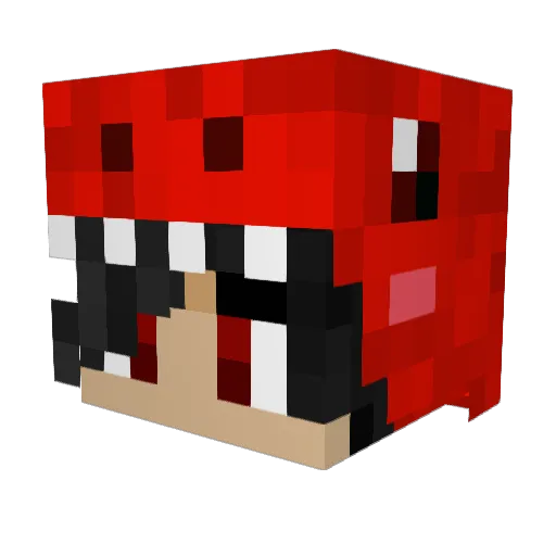 firefly2929 Minecraft avatar head, 3D render
