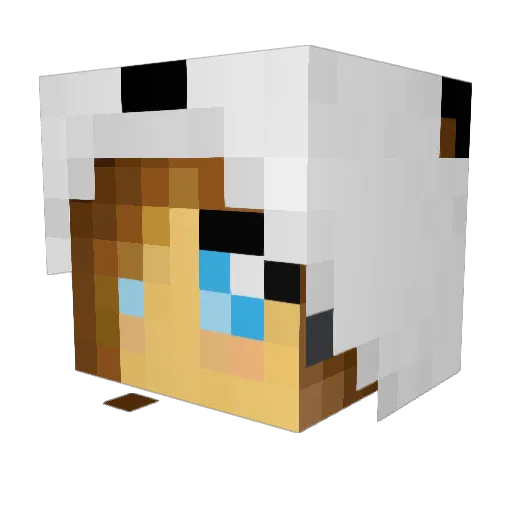 firefly292 Minecraft avatar head, 3D render