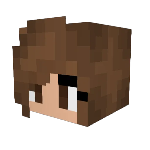 fireflybug Minecraft avatar head, 3D render