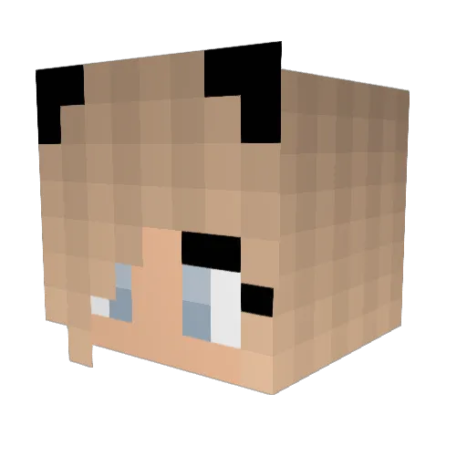 firekiller105 Minecraft avatar head, 3D render
