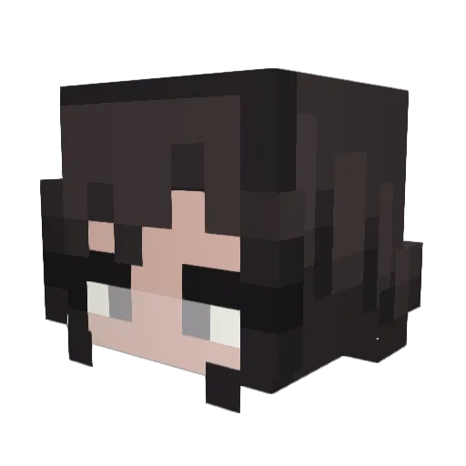 fireking927 Minecraft avatar head, 3D render