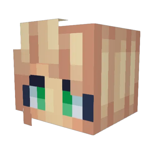 firelion147 Minecraft avatar head, 3D render