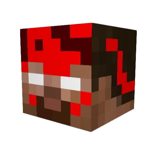 firemac9 Minecraft avatar head, 3D render
