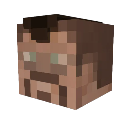 fireninja999 Minecraft avatar head, 3D render