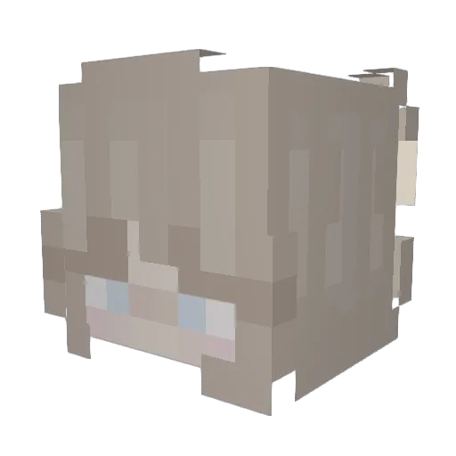 firepheonix1321 Minecraft avatar head, 3D render