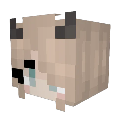 fireprincess_19 Minecraft avatar head, 3D render