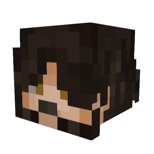 fireredfire101 Minecraft avatar head, 3D render