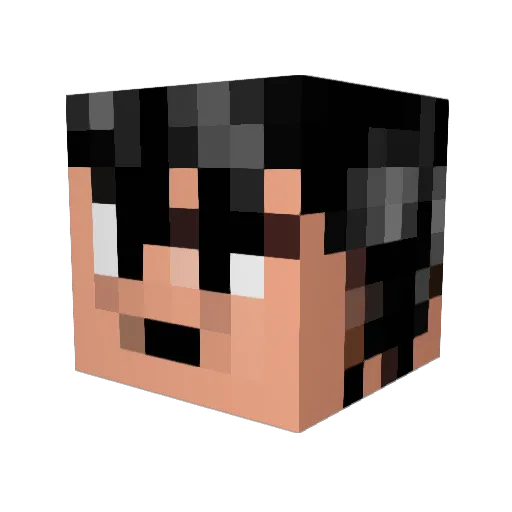 firesnow12 Minecraft avatar head, 3D render