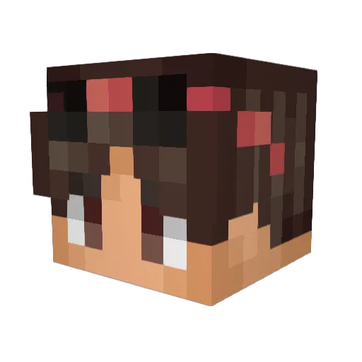 firestorm1433 Minecraft avatar head, 3D render