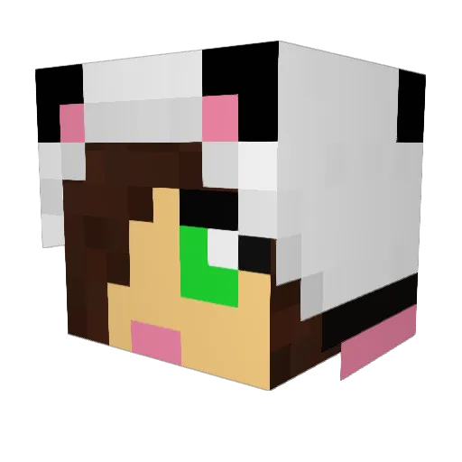 firestorm89 Minecraft avatar head, 3D render
