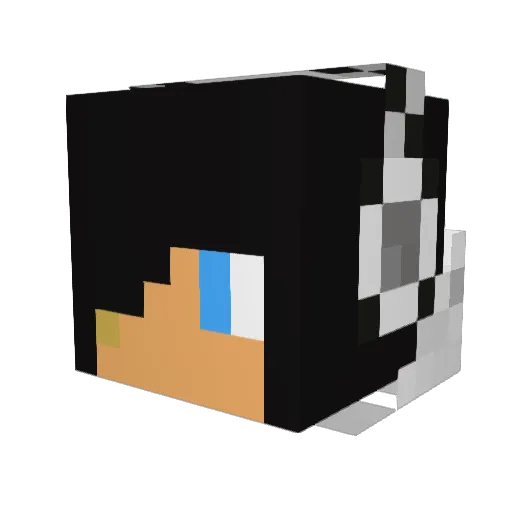 firezero10 Minecraft avatar head, 3D render