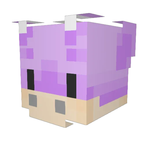 firstclaspenguin Minecraft avatar head, 3D render