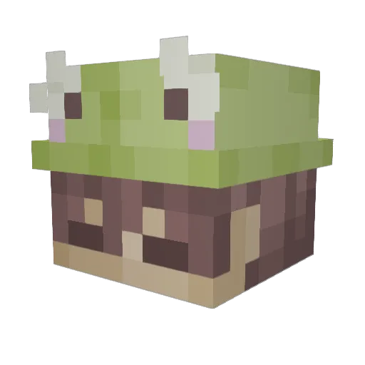 firstl0v3 Minecraft avatar head, 3D render