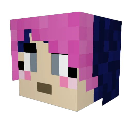 firsttreeinvader Minecraft avatar head, 3D render