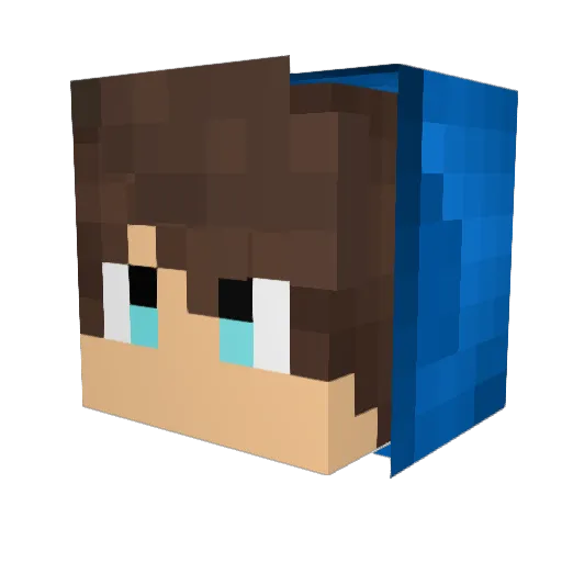 fis0 Minecraft avatar head, 3D render