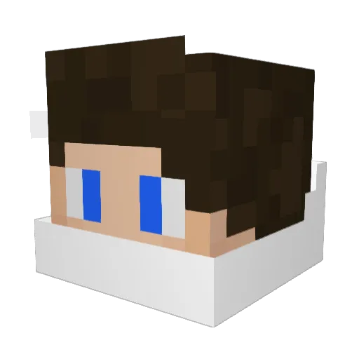 fischello Minecraft avatar head, 3D render