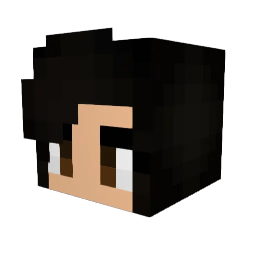 fischninja Minecraft avatar head, 3D render