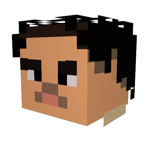 fischsammler Minecraft avatar head, 3D render