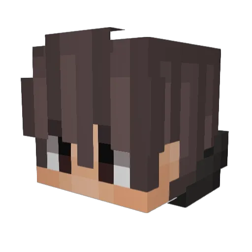 fischstaebli420 Minecraft avatar head, 3D render
