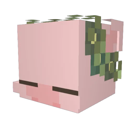 fish0223 Minecraft avatar head, 3D render