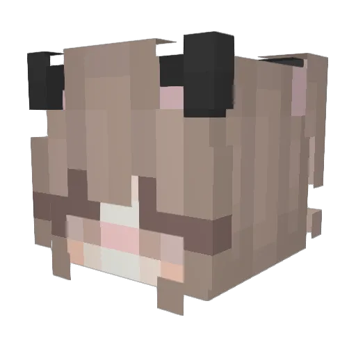 fish06 Minecraft avatar head, 3D render