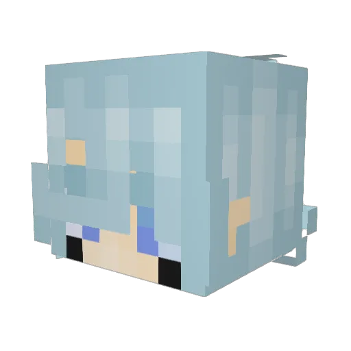 fish19356 Minecraft avatar head, 3D render