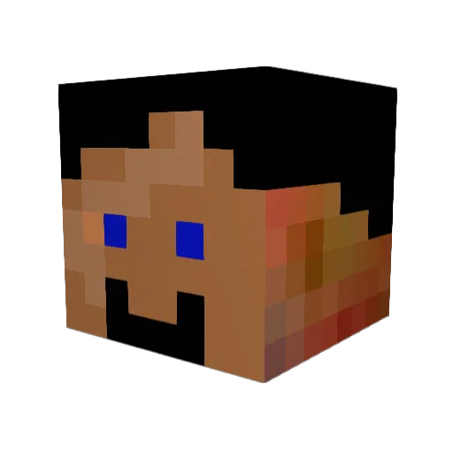 fish20101 Minecraft avatar head, 3D render