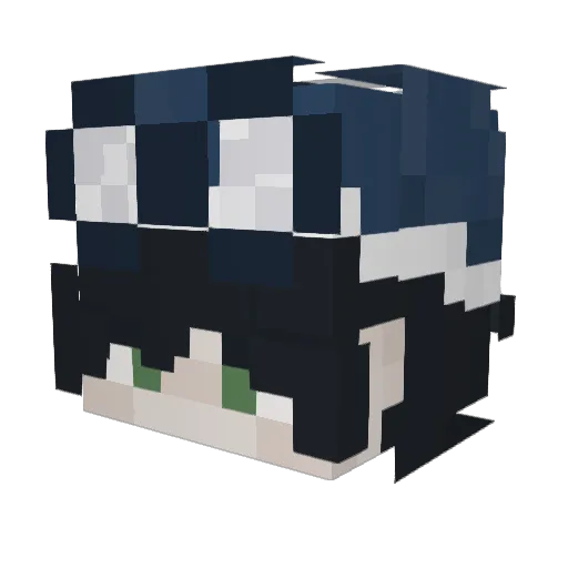 fish2201 Minecraft avatar head, 3D render