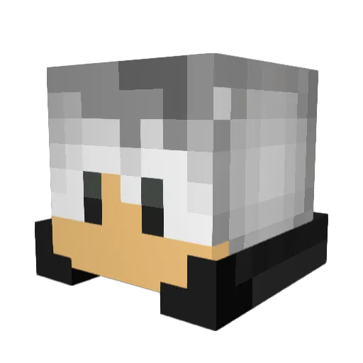 fish5299 Minecraft avatar head, 3D render