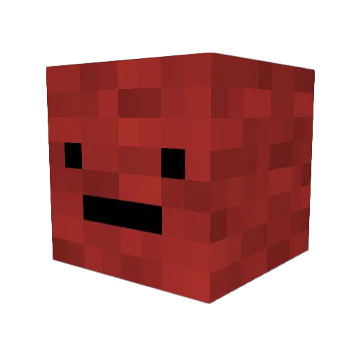 fishFAST Minecraft avatar head, 3D render
