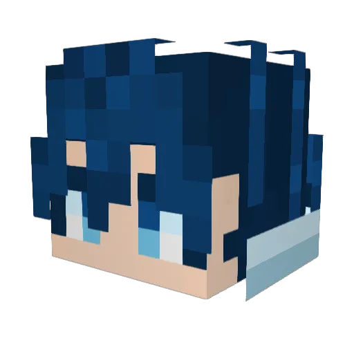 fish_king_lll Minecraft avatar head, 3D render