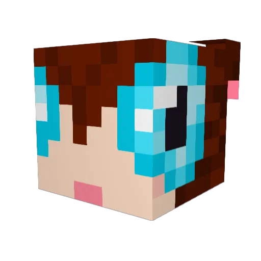 fishbuoy Minecraft avatar head, 3D render