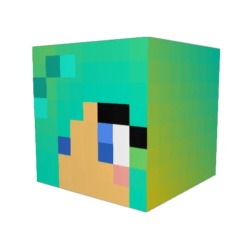 fishcat89 Minecraft avatar head, 3D render