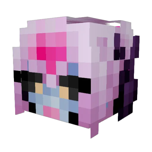 fishdog555 Minecraft avatar head, 3D render