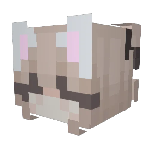 fisheSB Minecraft avatar head, 3D render