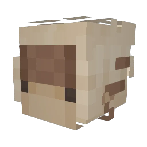 fishefeathers Minecraft avatar head, 3D render