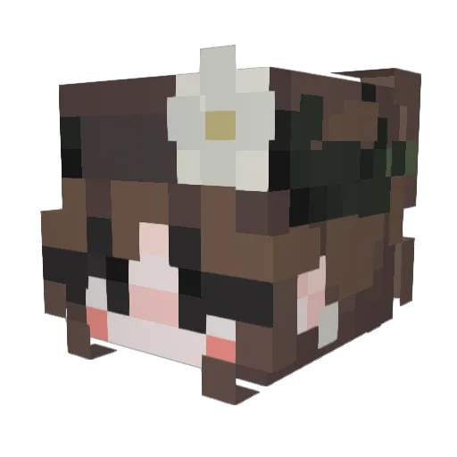 fisherman2000x Minecraft avatar head, 3D render