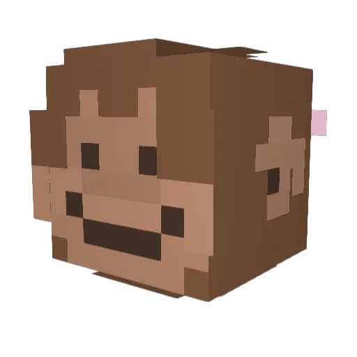 fisherytoon Minecraft avatar head, 3D render