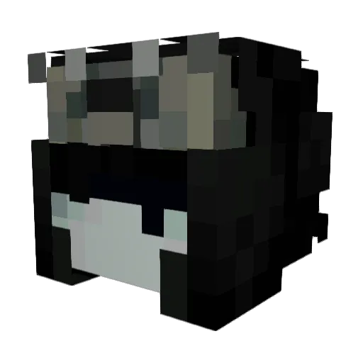 fishesingasoline Minecraft avatar head, 3D render