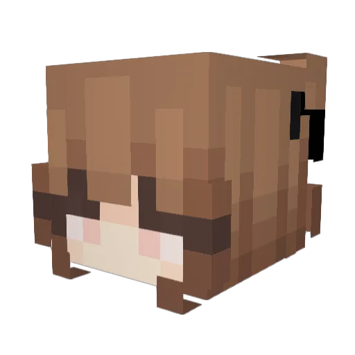 fishfart47 Minecraft avatar head, 3D render