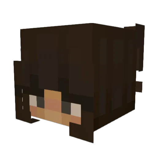 fishfish19 Minecraft avatar head, 3D render
