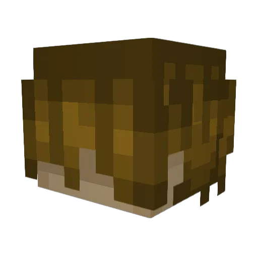 fishformeow Minecraft avatar head, 3D render