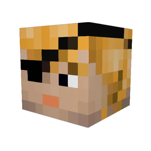 fishfrappe Minecraft avatar head, 3D render