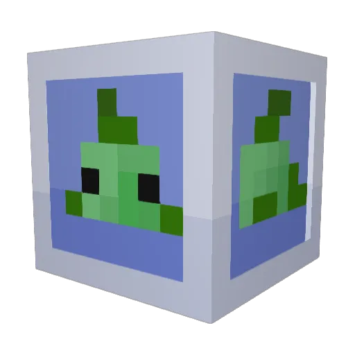 fishgamingyt1 Minecraft avatar head, 3D render