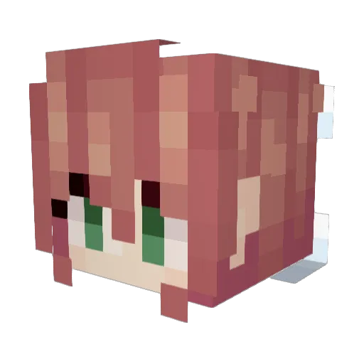 fishguy1000 Minecraft avatar head, 3D render