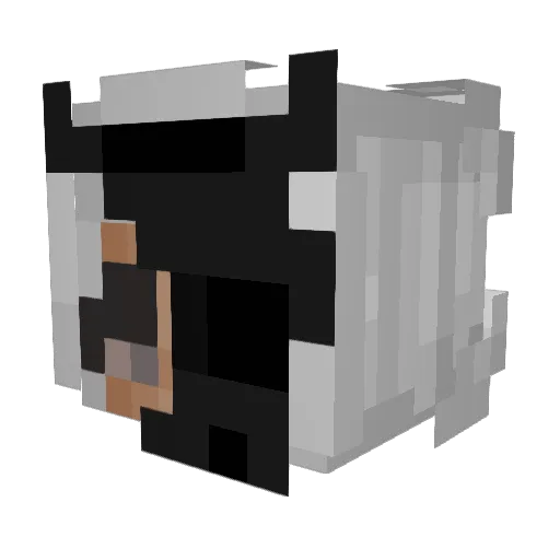 fishhdawgg Minecraft avatar head, 3D render