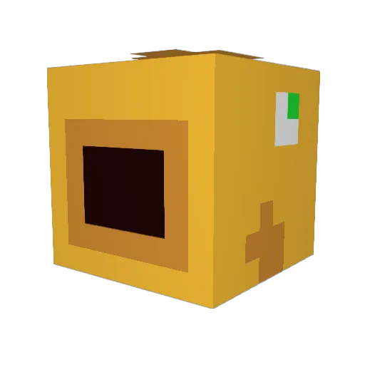 fishhead1234 Minecraft avatar head, 3D render