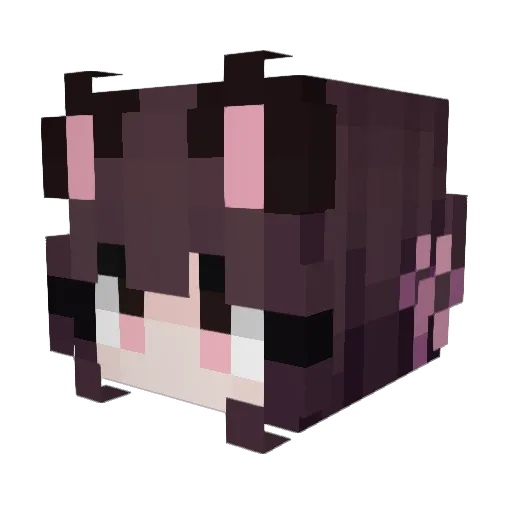 fishhh0042 Minecraft avatar head, 3D render