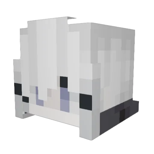 fishie_here Minecraft avatar head, 3D render