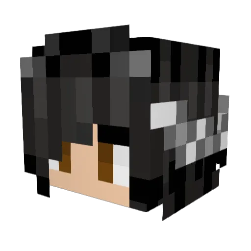 fishiewishies Minecraft avatar head, 3D render